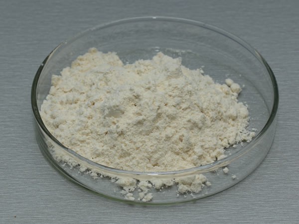 真菌α-淀粉酶 Fungal Amylase